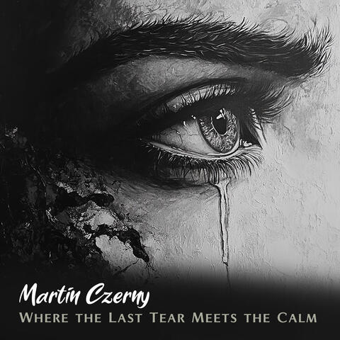 Where the Last Tear Meets the Calm album art