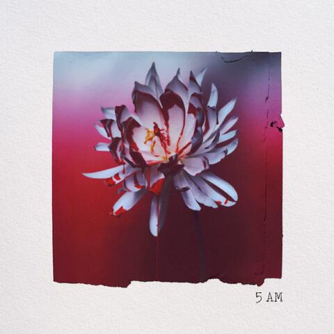 5 AM album art