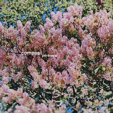 Dubby album art