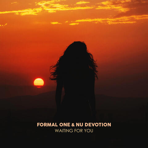 Waiting For You album art