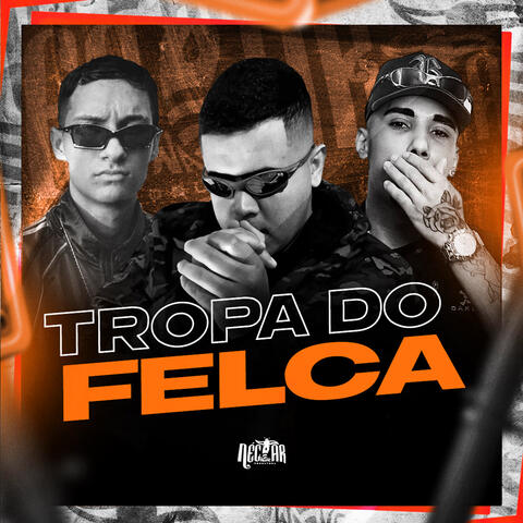 Tropa do Felca album art