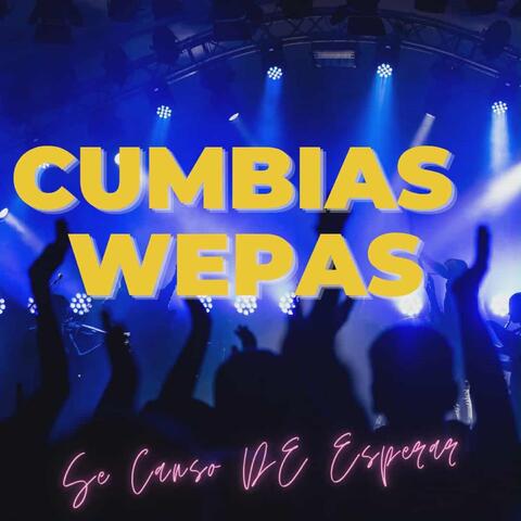 Se Canso De Esperar album art