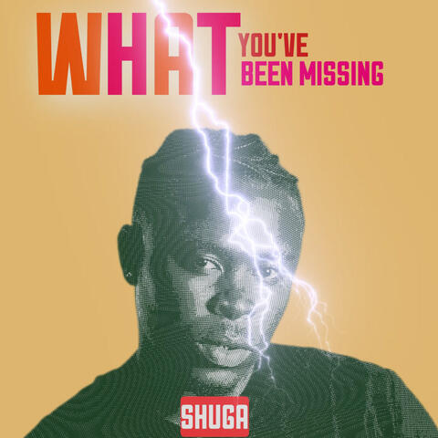 What You've been Missing album art