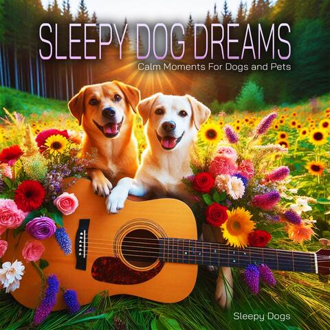 Sleepy Dog Dreams - Calm Moments For Dogs and Pets album art