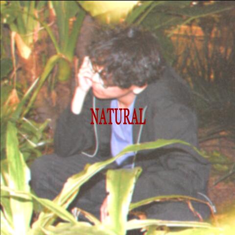NATURAL album art