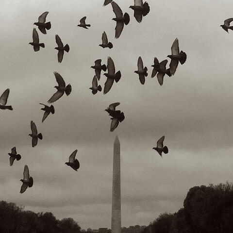 Oh My America album art