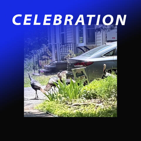 celebration album art