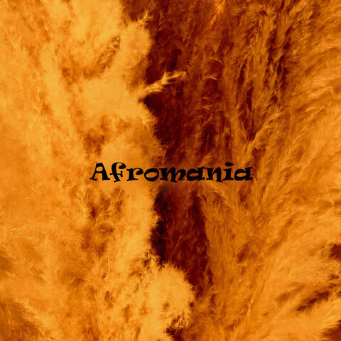 Afromania album art