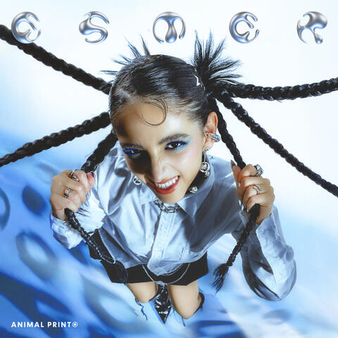 Animal Print album art