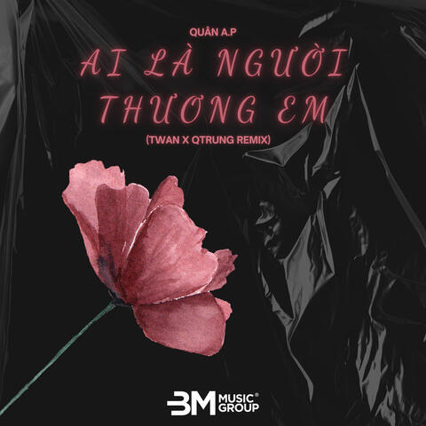 Ai Là Người Thương Em album art