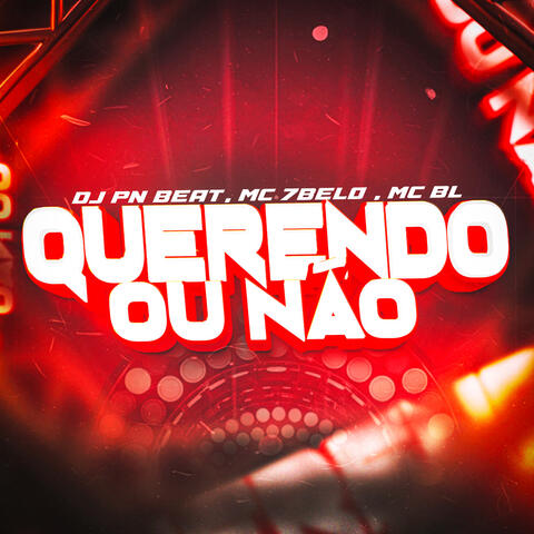 Querendo ou Não album art