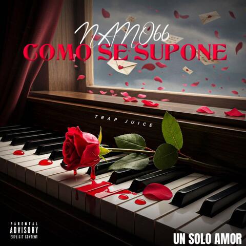 COMO SE SUPONE album art