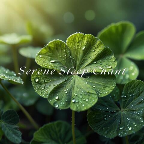 Serene Sleep Chant album art