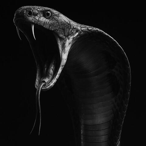 Próprio Veneno album art