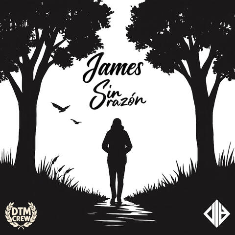 Sin razón album art