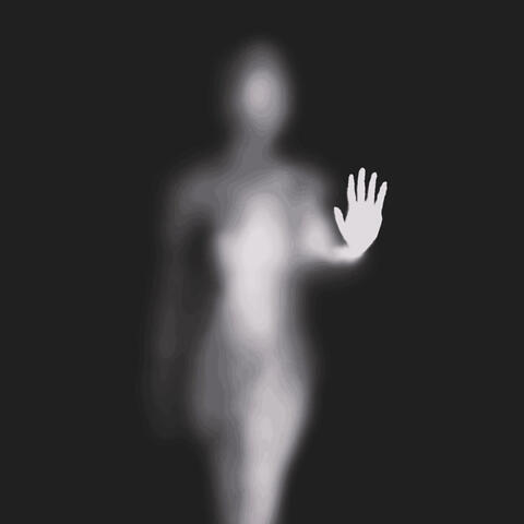 Insincerity album art