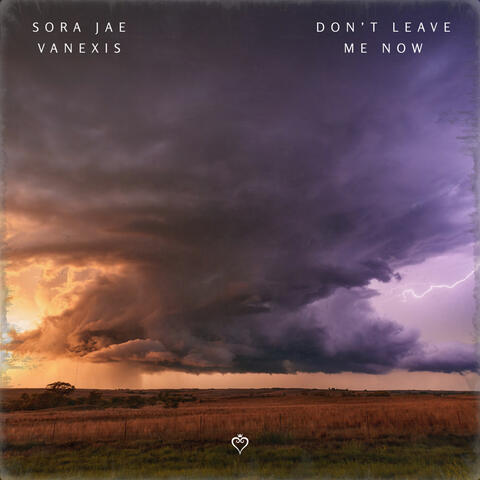Don't Leave Me Now album art