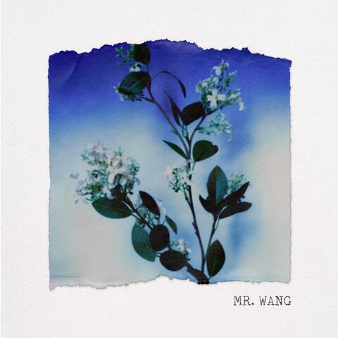 Mr. Wang album art