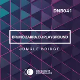 Image of Jungle Bridge