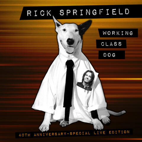 Working Class Dog album art