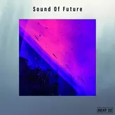 Image of Sound Of Future Beat 22