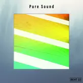 Image of Pure Sound Beat 22