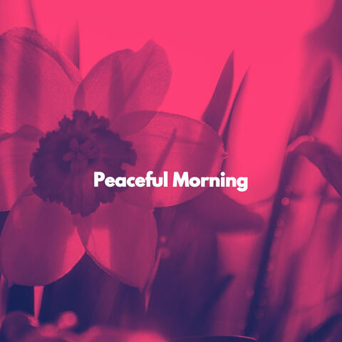 Peaceful Morning album art