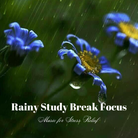 Rainy Study Break Focus: Music for Stress Relief album art