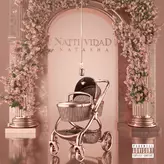 Image of NATTIVIDAD