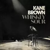 Image of Whiskey Sour