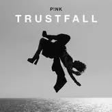 Image of TRUSTFALL