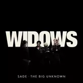 Image of The Big Unknown (From "Widows")