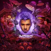 Image of Indigo