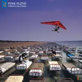Image of A Momentary Lapse of Reason