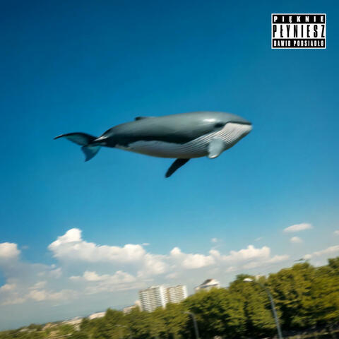 Pięknie płyniesz album art