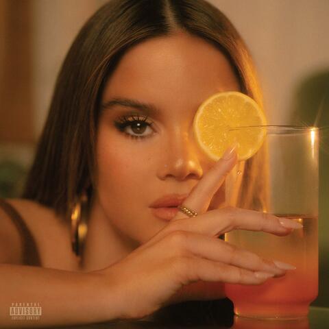 D R E A M S I C L E album art