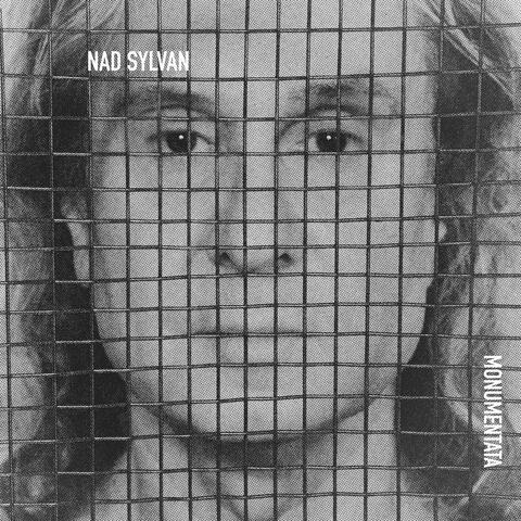 Monumentata album art