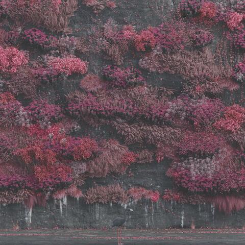 Even In Arcadia album art