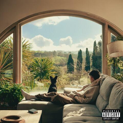 Viscerale album art