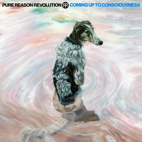 Coming Up To Consciousness (Deluxe Edition) album art