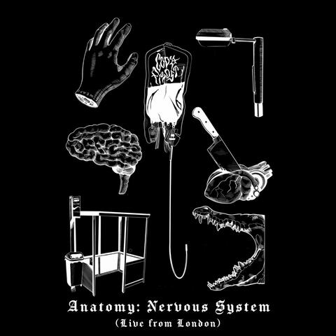 ANATOMY: Nervous System album art