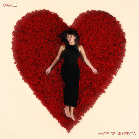 Amor de mi herida album art