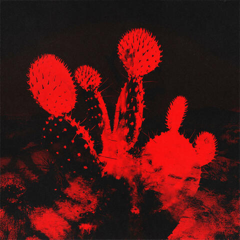 Melt'd album art