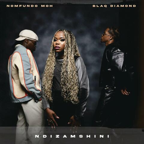 Ndizamshini album art