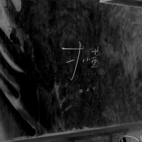 才懂 album art