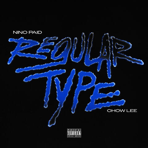 Regular Type album art