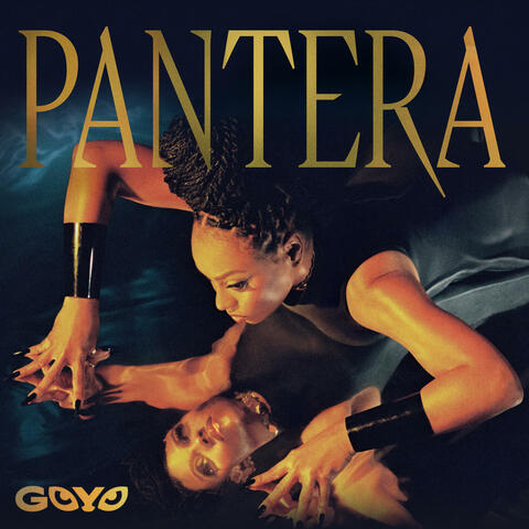 Pantera album art