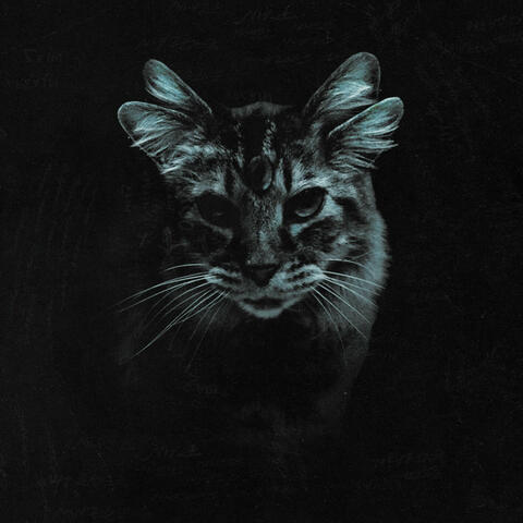 too scared to explain album art