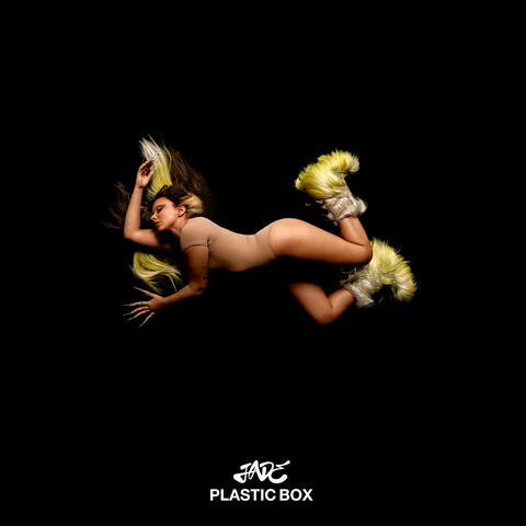 Plastic Box album art