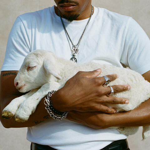 Nothing But Goodness (Studio Version) album art